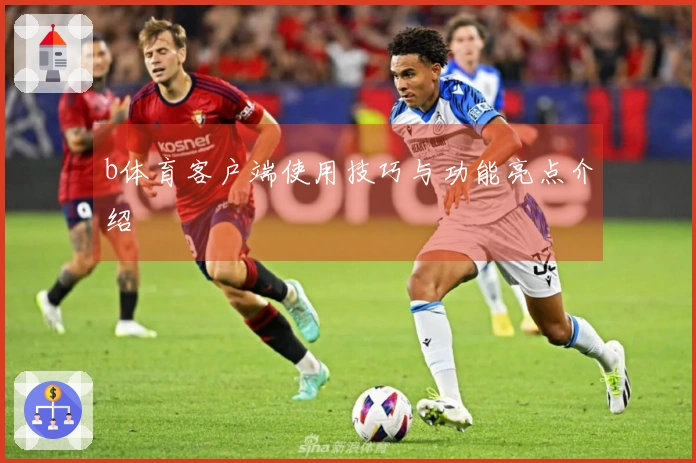 b体育客户端使用技巧与功能亮点介绍