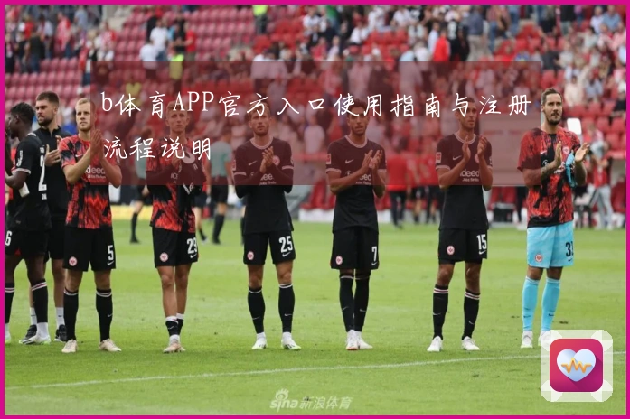 b体育APP官方入口使用指南与注册流程说明