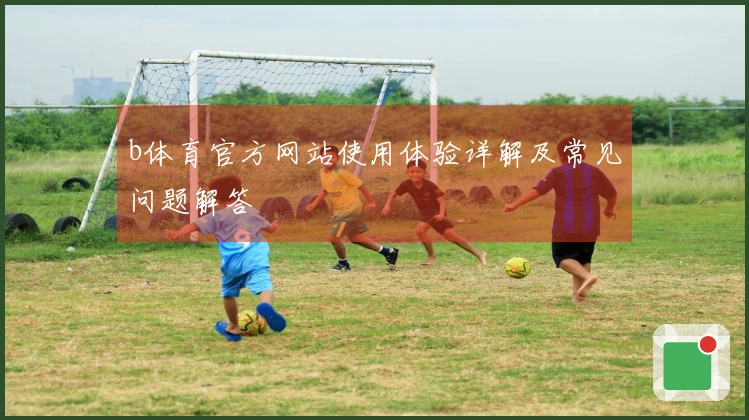 b体育官方网站使用体验详解及常见问题解答