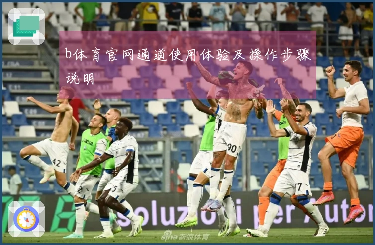 b体育官网通道使用体验及操作步骤说明